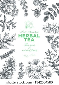 Beautiful vector hand drawn tea herb Illustration. Detailed retro style image. Vintage sketch element for labels, packaging and cards design. Modern background.