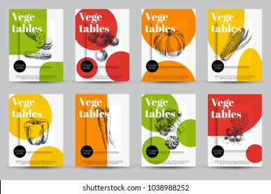 Beautiful vector hand drawn vegetables card set. Detailed trendy style images. Modern sketch elements collection for packaging design.