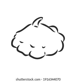 Beautiful vector hand drawn vegetables Illustration. Detailed retro style radish image. Vintage sketch element for labels, patisson, vector sketch on a white background