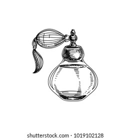 Beautiful vector hand drawn vintage perfume bottle Illustration. Detailed retro style images. Sketch element for labels and cards design.