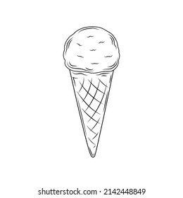 Beautiful vector hand drawn waffle cone with ice cream Illustration. Detailed retro style image. Vintage sketch element for labels, packaging and cards design. Modern background.