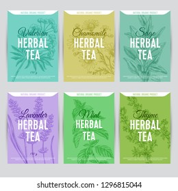 Beautiful vector hand herbal tea card set. Detailed trendy style backgrounds. Modern sketch elements collection for packaging design. 
