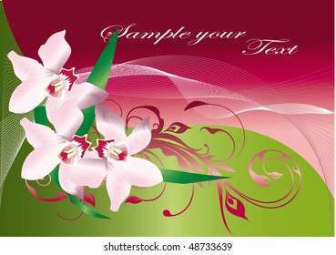 Beautiful vector illustration