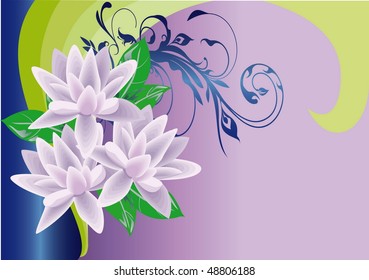 Beautiful vector illustration