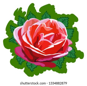 Beautiful vector illustration with amazing red rose with green leaves
