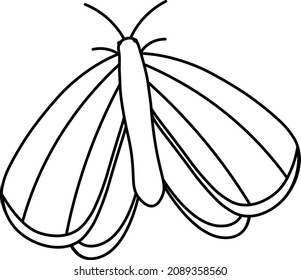 beautiful vector illustration of a black contoured butterfly. A magical flower insect on a white background.