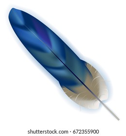Beautiful vector illustration. Bright blue bird feather