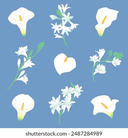 Wunderschöne Vektorillustration von Calla Lilien und Tuberosen. Wunderschöne zarte weiße Blüten mit gelben Details. Flache Farben Weiß Gelb Grün Blau Hintergrund