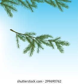 Beautiful vector illustration of christmas tree branches. Decorative elements for the New Year and Christmas postcards, posters and invitations.