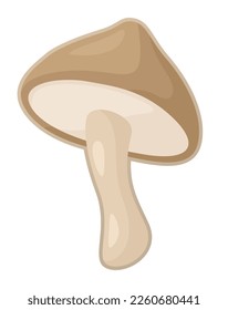 Beautiful vector illustration with colorful brown mushroom shape isolated on the white background