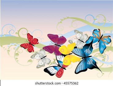 beautiful vector illustration with colorful butterflies