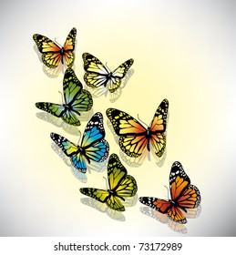 beautiful vector illustration with colorful butterflies