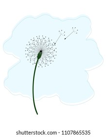 Beautiful vector illustration of dandelions in the blue background. Hand drawn illustration with soft colors. 