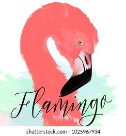 Beautiful vector illustration with drawn pink flamingo