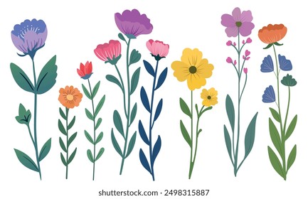 A beautiful vector illustration featuring a collection of colorful wildflowers, including various blooms such as daisies, poppies, and wild roses