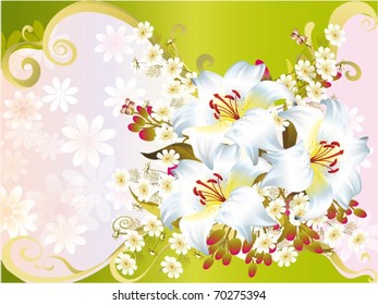 beautiful vector illustration with flowers