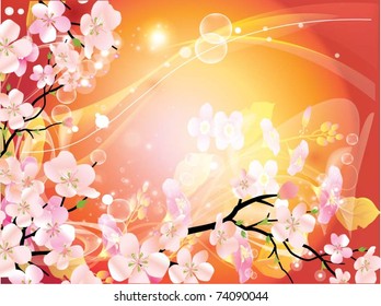 beautiful vector illustration with flowers
