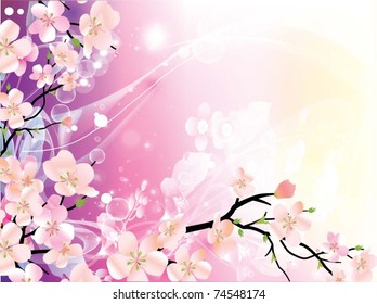 bella ilustración vectorial con flores