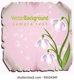 beautiful vector illustration with flowers