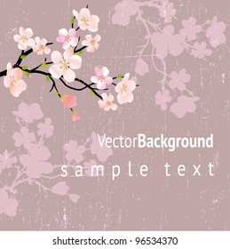 beautiful vector illustration with flowers