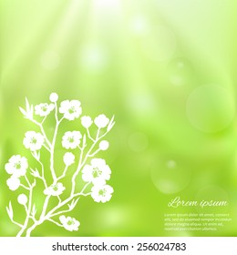 Beautiful vector illustration with flowers. Spring holiday card with place for text. Stylish fashion background