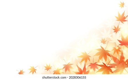 Beautiful vector illustration frame of autumn maple and light (background)