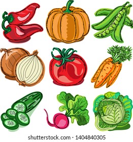 Beautiful vector illustration with fresh colorful vegetables in green leafs