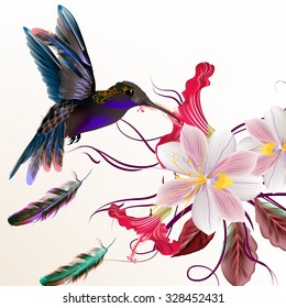 Beautiful vector illustration with hummingbirds hyacinth and hibiscus flowers