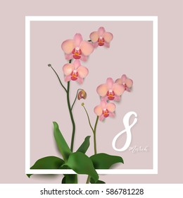 Beautiful vector illustration on 8 March, International Women's Day, spring, flowers, orchids