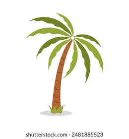 Beautiful vector illustration of palm tree on isolated background.Summer element for design.