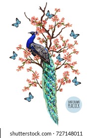 Beautiful vector illustration with peacock tropical japanese flowers, tree, spring wallpaper, branches, butterflies. Perfect for wallpapers, web page backgrounds, surface textures, textile.