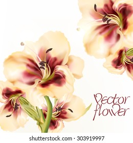 Beautiful vector illustration with realistic lily flower