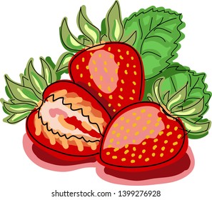 Beautiful vector illustration with red tasty strawberry in green leafs