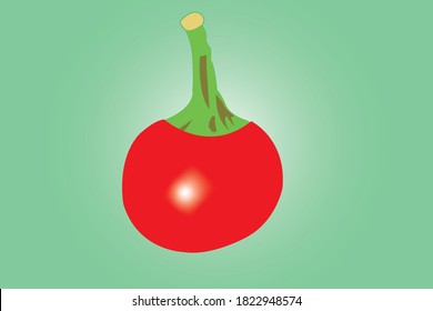 Beautiful vector illustration of round chilli