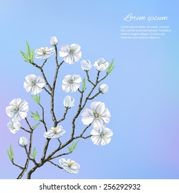 Beautiful vector illustration with sakura flowers. Spring holiday card with place for text. Stylish fashion background