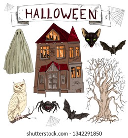 Beautiful vector illustration set of cartoon assorted Halloween accessories Spider, Black Cat, Web, Bat, landscape with scary old house, old tree, ghost, owl. Separated objects on white background