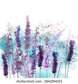 Beautiful vector illustration with spring lavender flowers in watercolor style