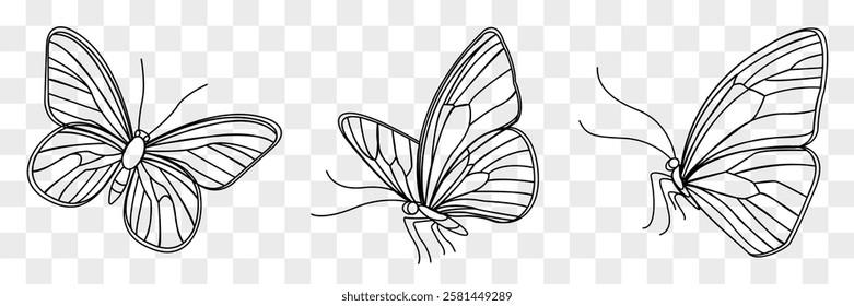 Beautiful vector illustration of three butterfly designs highlighting spring and summer themes in a minimalistic style