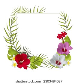 Beautiful vector illustration of white red and purple hibiscus and plumeria flowers. Square frame decorated with tropical, exotic flowers and palm green leaves. Bouquet. Floral background.