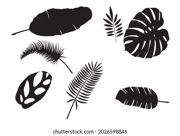 Beautiful vector ilustratation tropical leaves