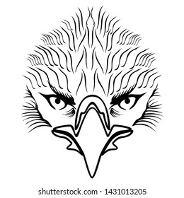 beautiful vector image of animal predator eagle