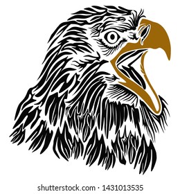 beautiful vector image of animal predator eagle