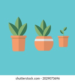a beautiful vector image three potted plants in brown and green color in flat design ..