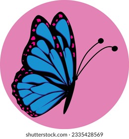 Beautiful vector isolated blue butterfly illustration