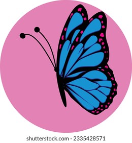 Beautiful vector isolated blue butterfly illustration