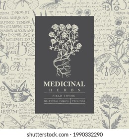 Hermosa etiqueta vectorial o pancarta con timo de campo en un fondo dibujado a mano con texto escrito a mano Lorem Ipsum y hierbas medicinales. Ilustración botánica en estilo retro para farmacia, medicina de plantas