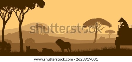 Beautiful vector landscape of African Savannah  Safari with a photographer on the foof of a vehicle taking picture of lions during sunset.