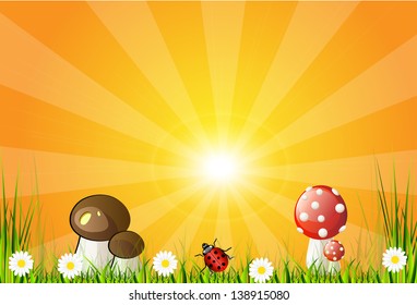 Beautiful vector landscape with green grass, garden, mushrooms and flowers. Abstract background design.
