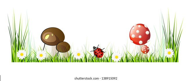 Beautiful vector landscape with green grass, garden, mushrooms and flowers. Isolation over white background.