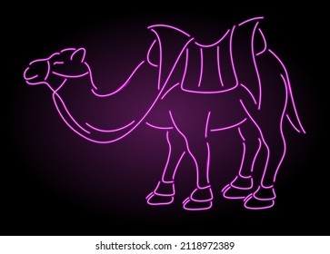 Beautiful vector linear illustration with colorful pink decorative shiny camel silhouette on the dark background